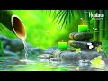 Peaceful Relaxation Piano Music 🌿 Calming Piano Music with Water Sounds ~ Stress Relief & Serenity