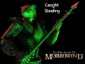 Morrowind Male Argonian Responses