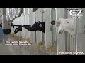 See how this cow machine works. Incredible farm, modern technology machines
