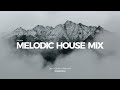 Melodic House Mix 2024 - EP05 | Lane 8, Ben Böhmer, Tinlicker, CamelPhat