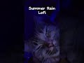 || Summer Rain || Lofi || Original ||