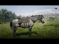 How to Get Best Free Horses Early - Red Dead Redemption 2