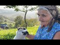 Amazing life of a grandmother on top of a mountain. Rural life in the Carpathians
