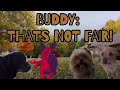 Buddy’s adventures episode 3: what’s the plan?