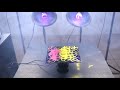 Incredible UV Sand Resonance Experiment!