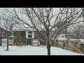 Meditation Music with Calming and Relaxing Backyard Snow Storm