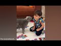 When tiny criminals band together - Cute cats and little friends