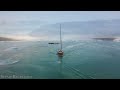 The Arctic 4K - Scenic Wildlife Film With Calming Music