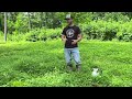 What Herbicides to Use on Clover Food Plots