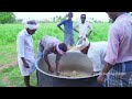 RAMZAN SPECIAL! 5 FULL GOAT MUTTON BIRYANI | Traditional Biryani Recipe | Village Cooking Channel