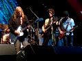 Govt Mule Drawn That Way