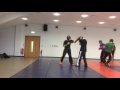 Technical Kickboxing sparring