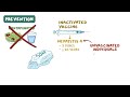 Hepatitis A and hepatitis E virus - causes, symptoms, diagnosis, treatment, pathology