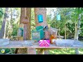 Lovely squirrels and cute birds on the table | Relaxing video | Cat TV