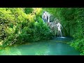 Relaxing Music For Stress Relief, Anxiety and Depressive States • Heal Mind, Body and Soul #20