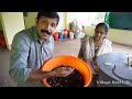 Palm Oil seed germination full process | How to germinate palm oil seed