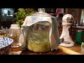 Quick and easy fermented kraut