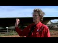 Animal Behavior with Temple Grandin - Part 1