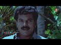 ഇന്നസെന്റ് ചേട്ടന്റെ തകർപ്പൻ  കോമഡി സീൻ | Innocent Comedy Scenes | Malayalam Comedy Scenes