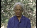 J. Krishnamurti - Ojai 1985 - Public Q&A 1