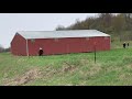 Amish Shed Move