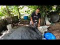 Composting Class at Wa Samaki Ecosystems in Trinidad & Tobago 🇹🇹 Foodie Nation