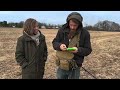 Just Gettin’ Started! - Metal Detecting INCREDIBLE 1600s & 1700s Coins at an Early American Farm!