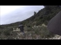 Chasse à la Bécasse dans les Alpilles