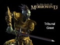 Morrowind Female Dark Elf Responses