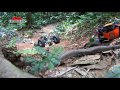 Scale Jungle RC Adventures Axial SCX10 Dingo Jeep Wrangler Wraith at Durian Loop Trails