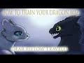 HTTYD MAP Dear Fellow Traveler | Thumbnail Contest (Speedpaint)