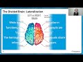 2022 Live Review 2 | AP Psychology | Biology of the Mind