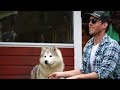 Man & His Dog Live In Swedish Inspired Tiny House | Off Grid Living