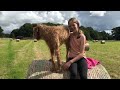 Nala the hay bale dog