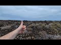 🌋 Volcanic island plant life! Botanising an ancient lava field on Lanzarote