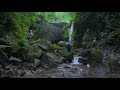 4K Relax in the sound of a waterfall in the forest for 1 hour and 56 minutes.