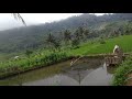 🔴ALAM KAMPUNG SAGARA ‼️Garut Selatan #vlog #alamindonesia #garutselatan