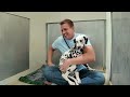 Watch this Dalmatian Puppy Ask Me for Help Finding Her Family