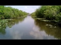 Everglades tour part 2