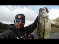 G Vlog-64 Good size bass