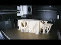 3D Printed Ram Skull