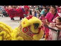 Massive Crowd Goes Wild for Lion Dance at Chinese New Year Guo Pei Exhibition.