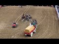 Budweiser Wagon Accident at the SA Rodeo 2023
