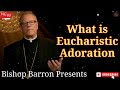 Bishop Robert Barron   |  What is Eucharistic Adoration