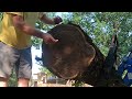 DON'T RUIN a Sawmill Log!  SECRET How To TIPS from a PROFESSIONAL!  Part 1
