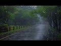 Peaceful Sound of Rain and Thunderstorms for Sleep - Rain on the Foggy Forest road at Night