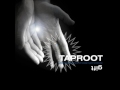 Taproot- Mirror's Reflection