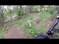 Gopro HD: NEW Beecraigs MTB Trails Black Descents