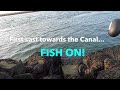 Cape Cod Canal Striper Fishing: CRAZY Striper Blitz