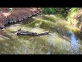 UC Riverside Botanic Garden - Turtle Pond